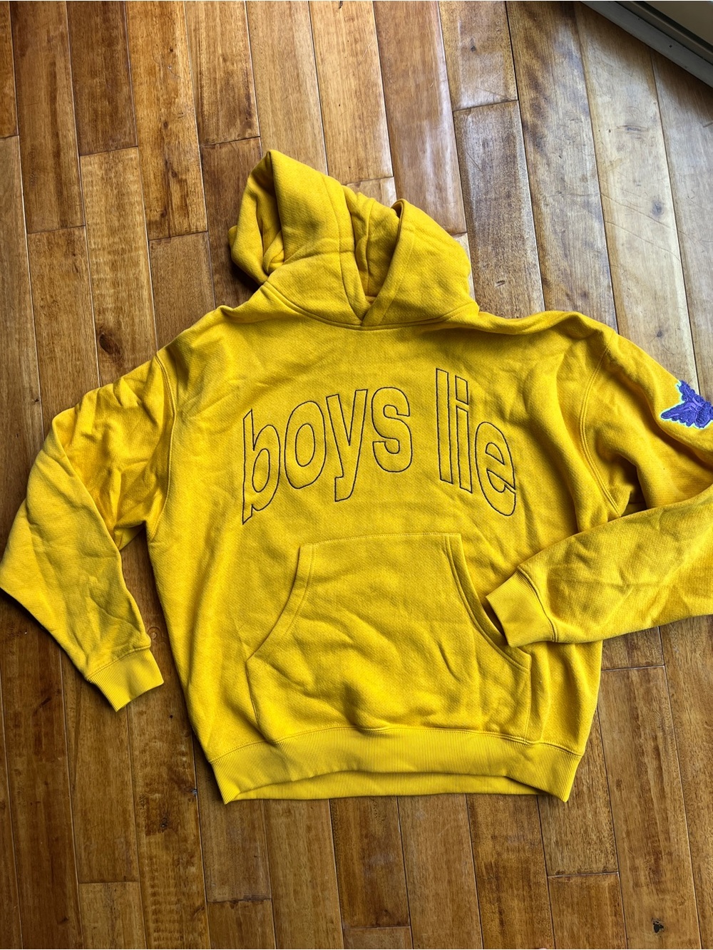 EUC Boys Lie Hoodie You Made A Monster Out of Me